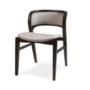 Nemesis Side Chair