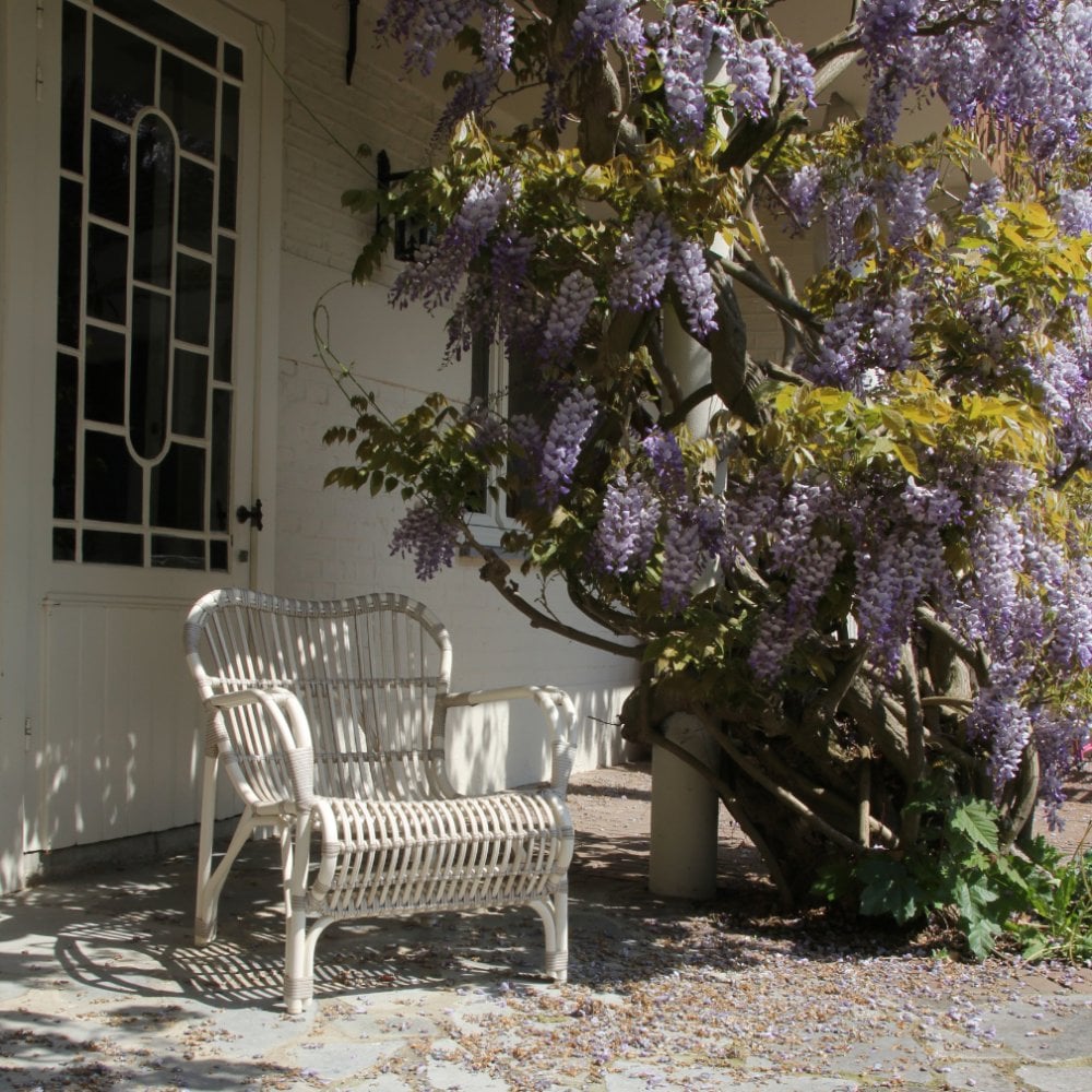 Lucy Lazy Armchair Lucy Lazy Armchair