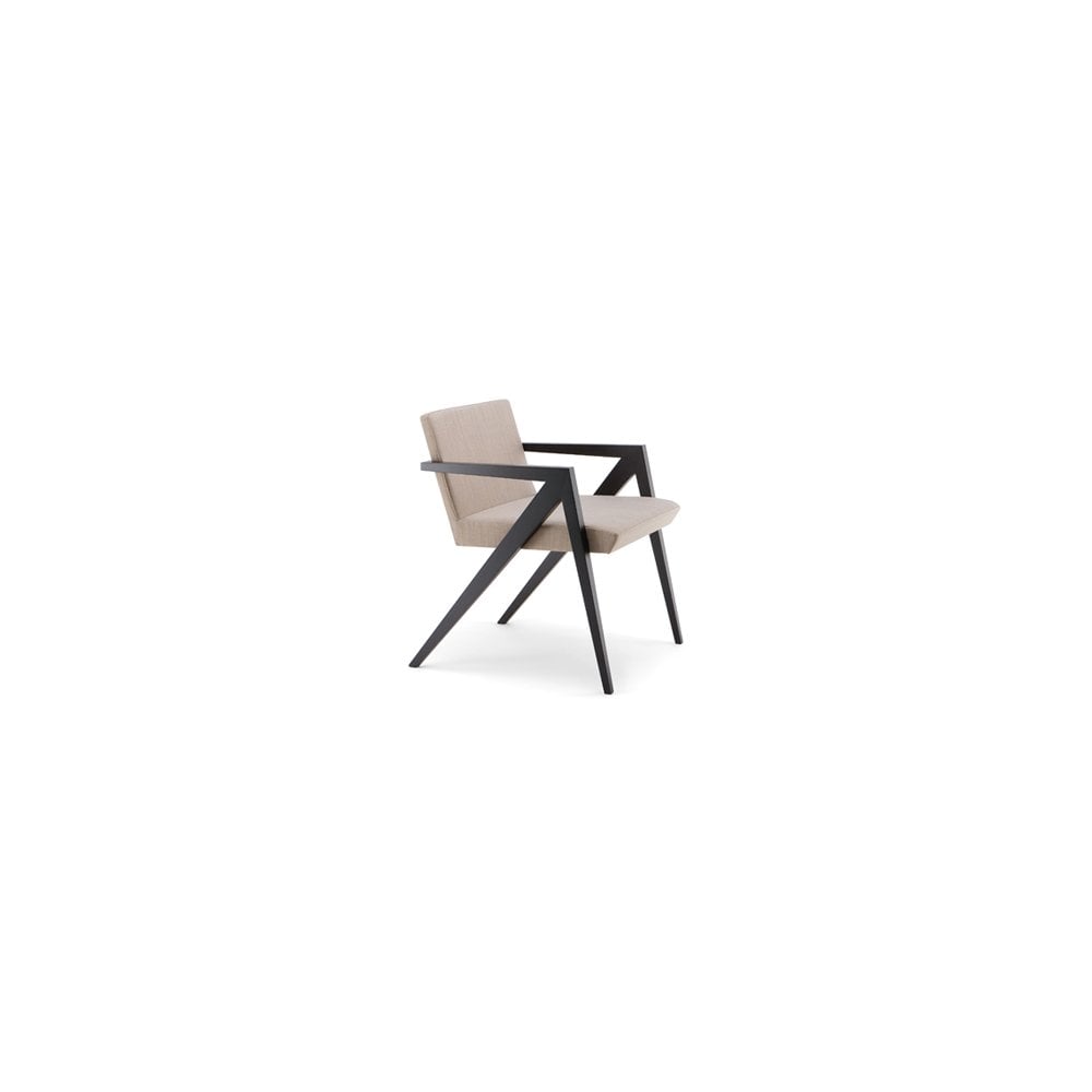 Sagitta Dining Armchair Sagitta Dining Armchair