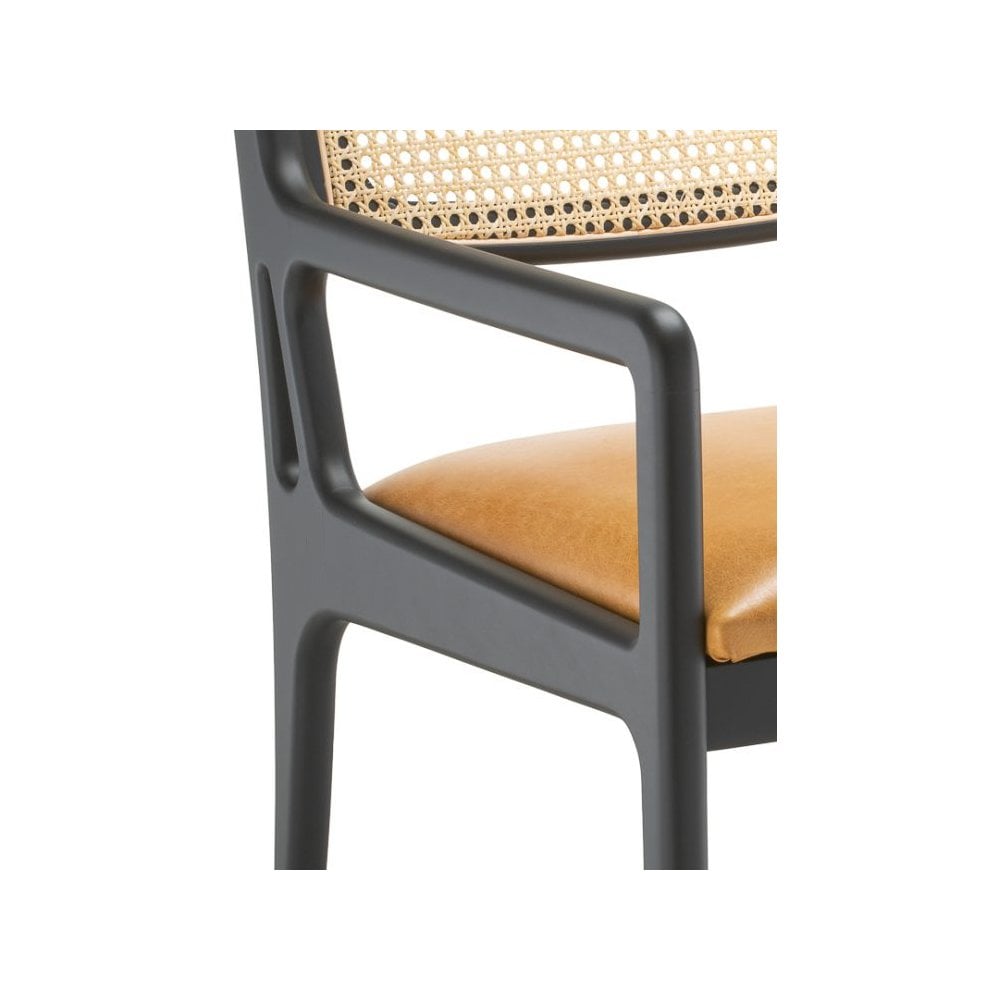 Protis Rattan Armchair Protis Rattan Armchair