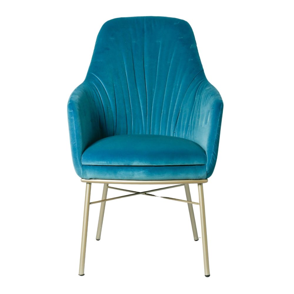 Danielle Pleated Armchair Danielle Pleated Armchair
