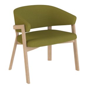 Zemir Lounge Chair