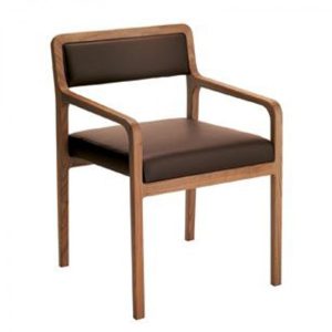Fuji Armchair