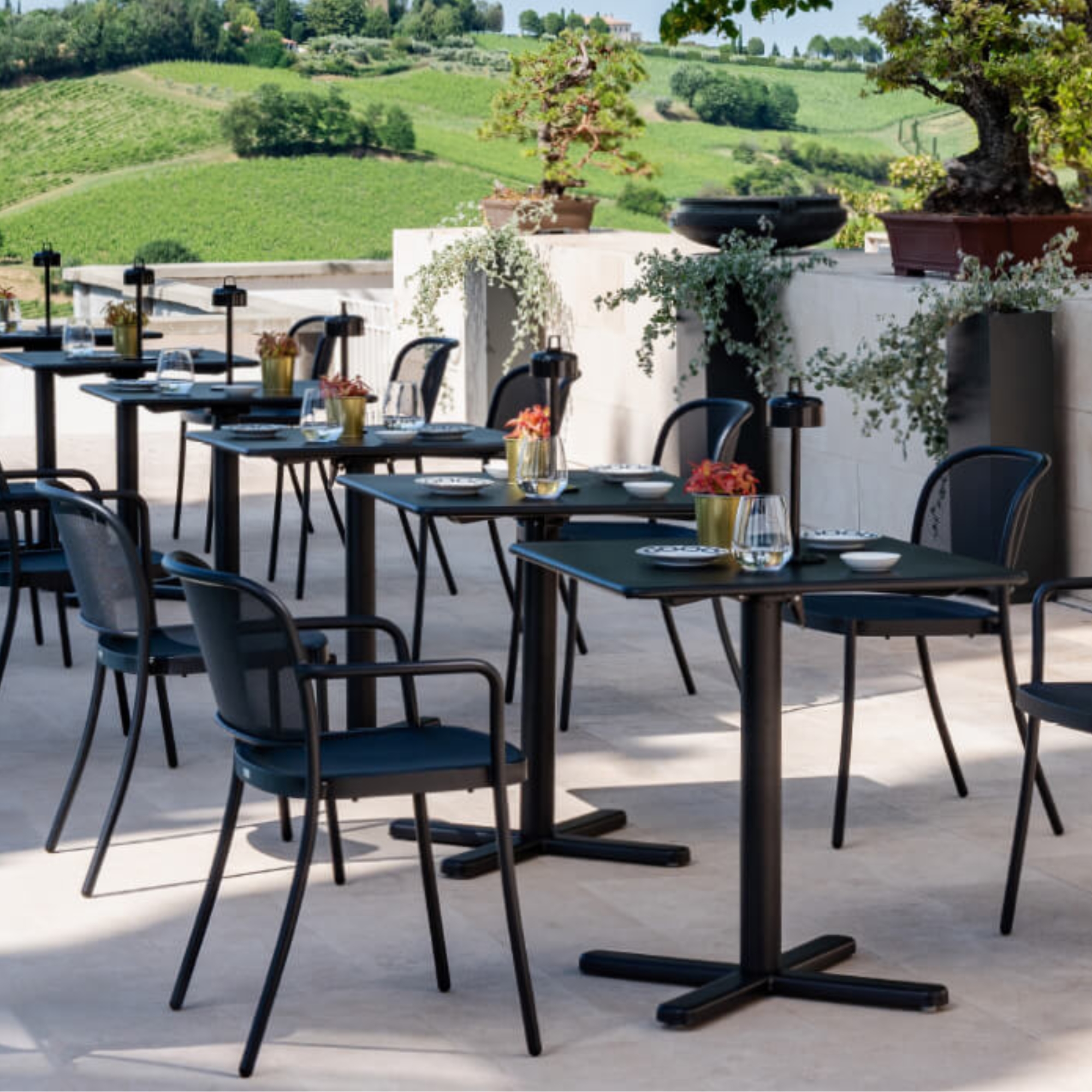 Cafe Armchair Cafe Armchair
