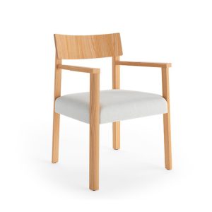 Cania Armchair