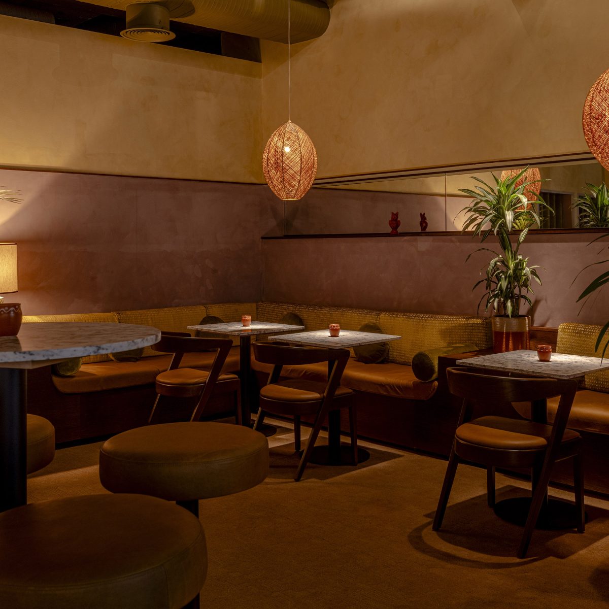 Anise Bar